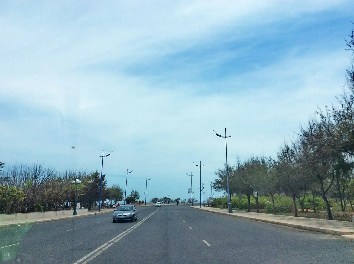 Coastal road along Back Beach lined with casuarina trees under blue sky