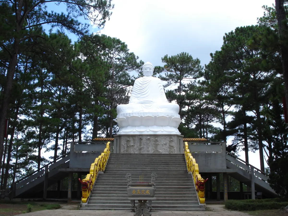 White seated Buddha statue at the top of steps among tall pine trees
